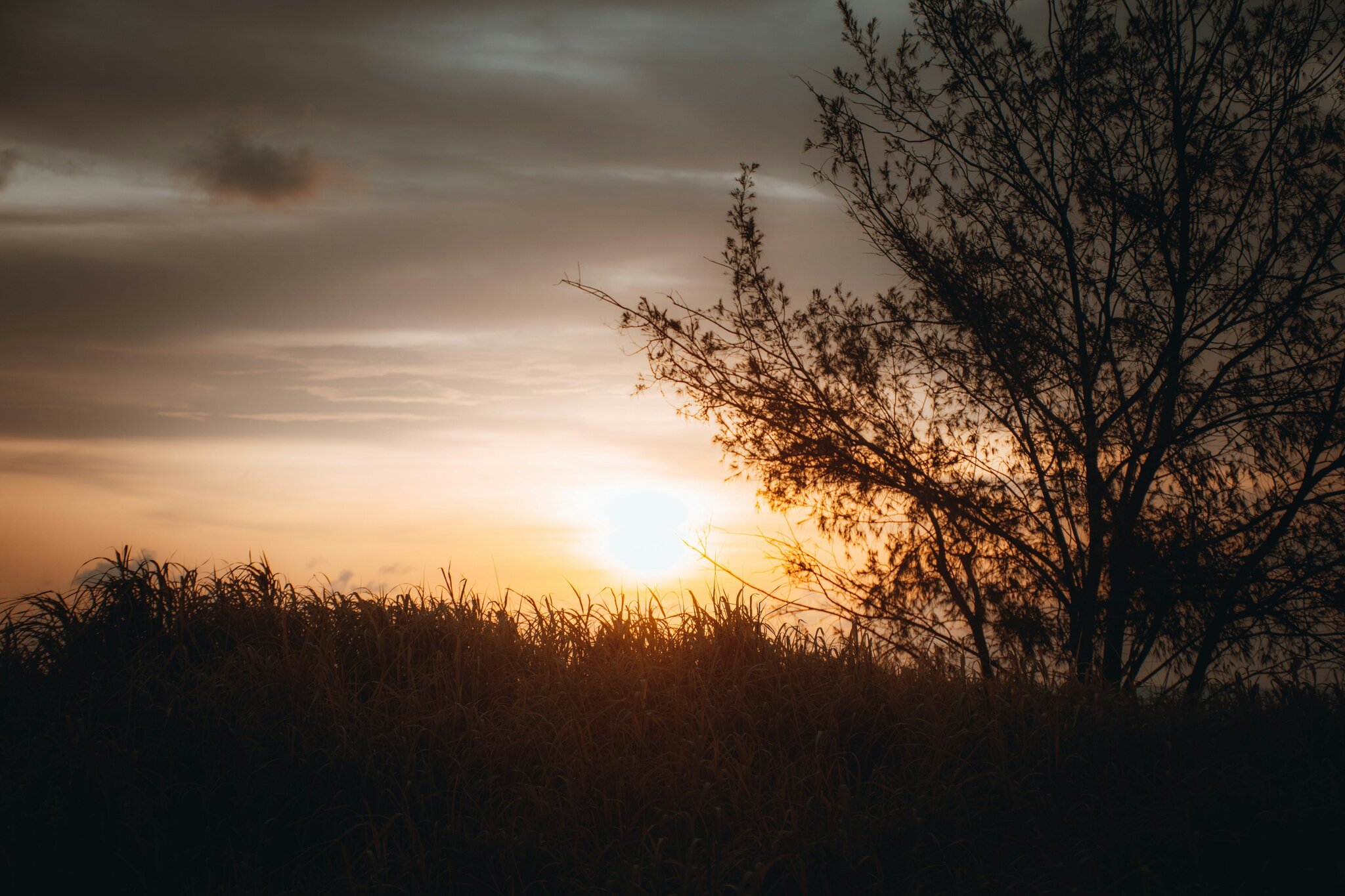 Australian homes with solar panels under bright sunshine.