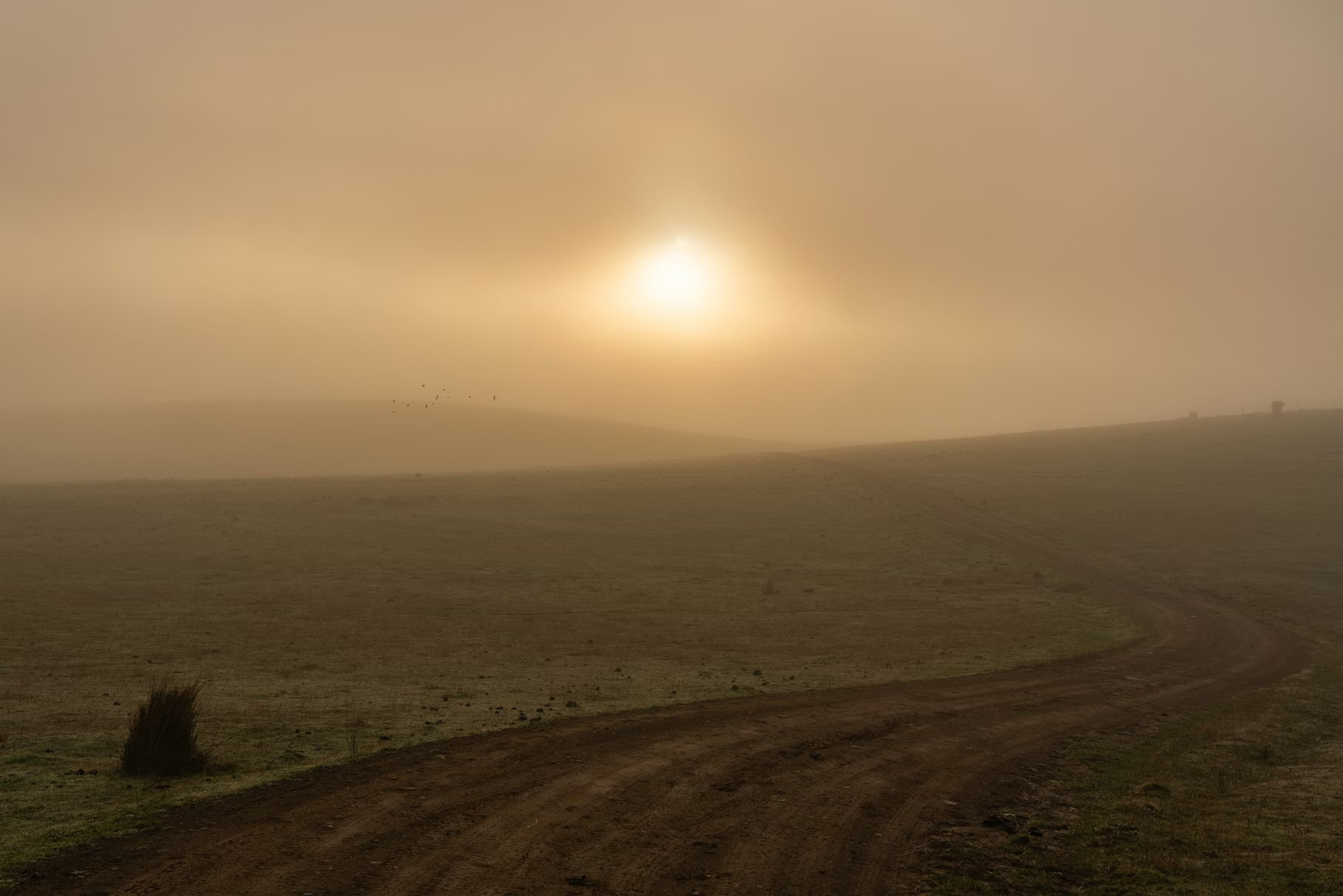 Solar panels installed on a Tasmanian home