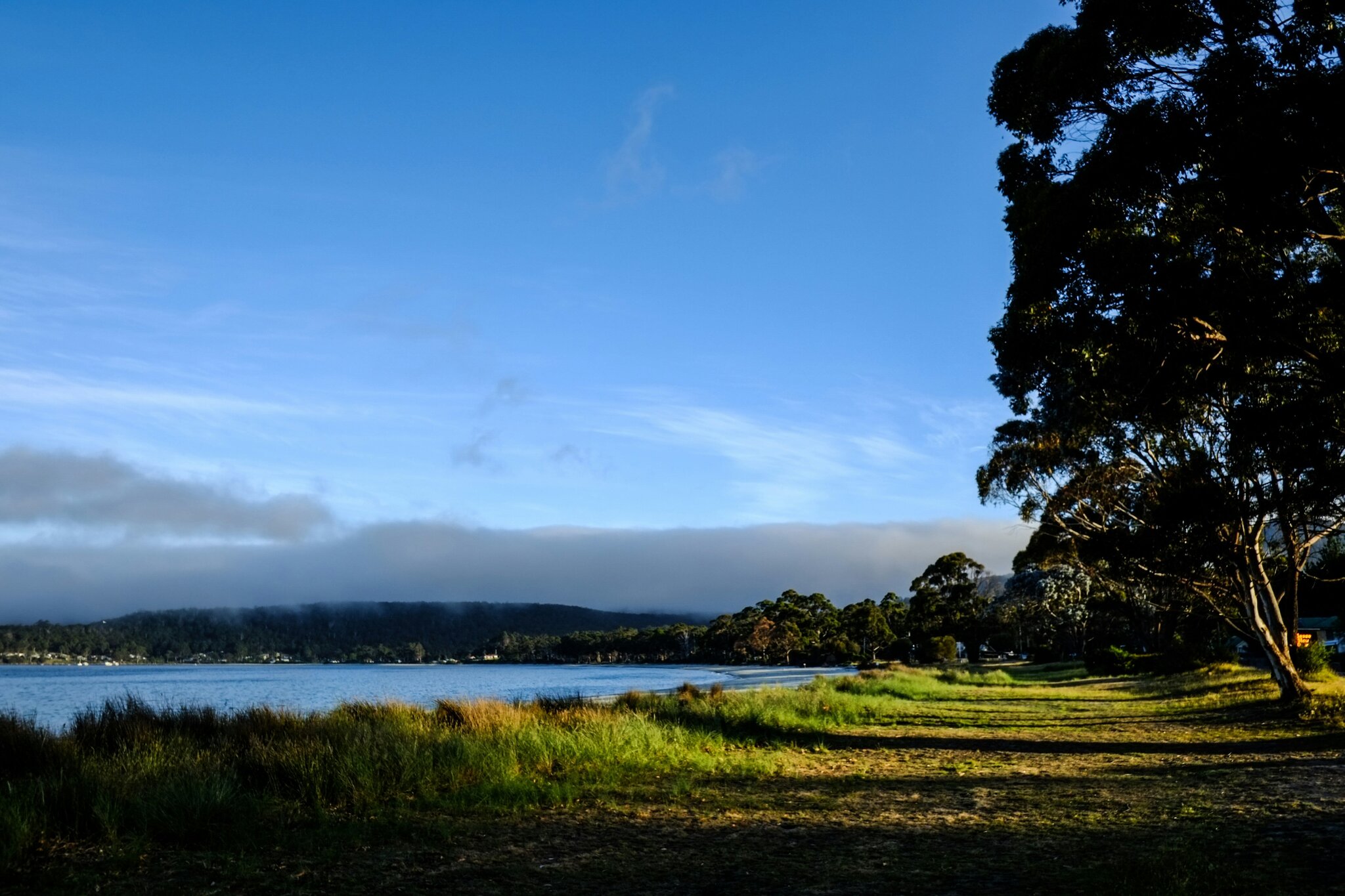 Solar panels on a Tasmanian home with clear blue sky.
